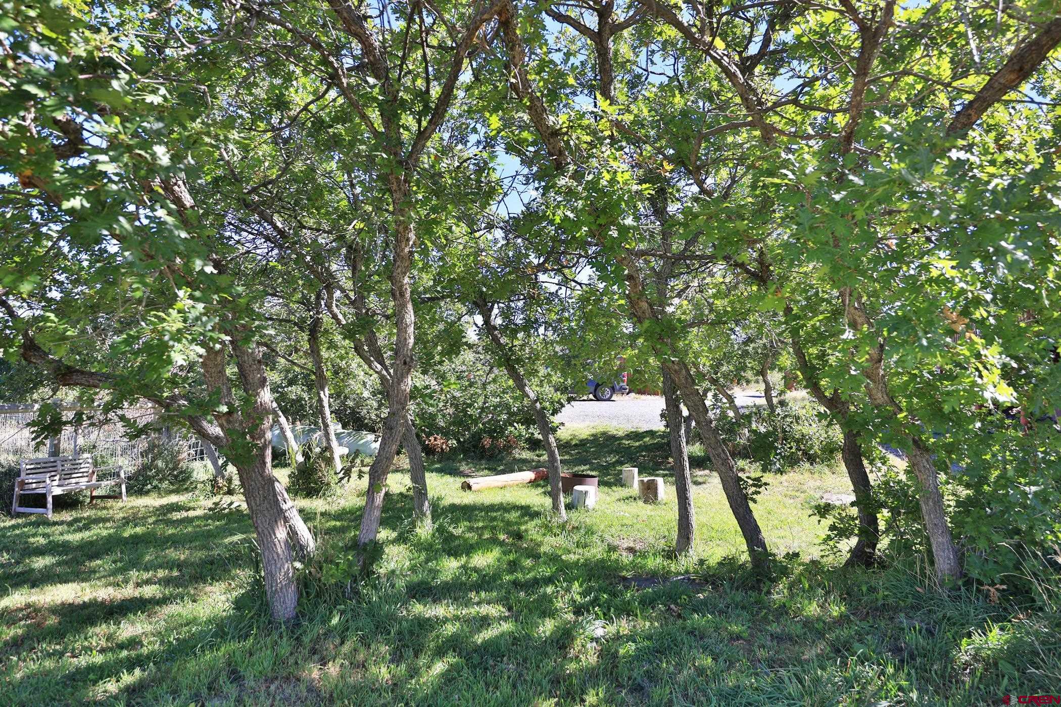 9321 54 Road Molina, CO 81646 - Photo 24 of 32 a backyard of a house with a yard and outdoor seating