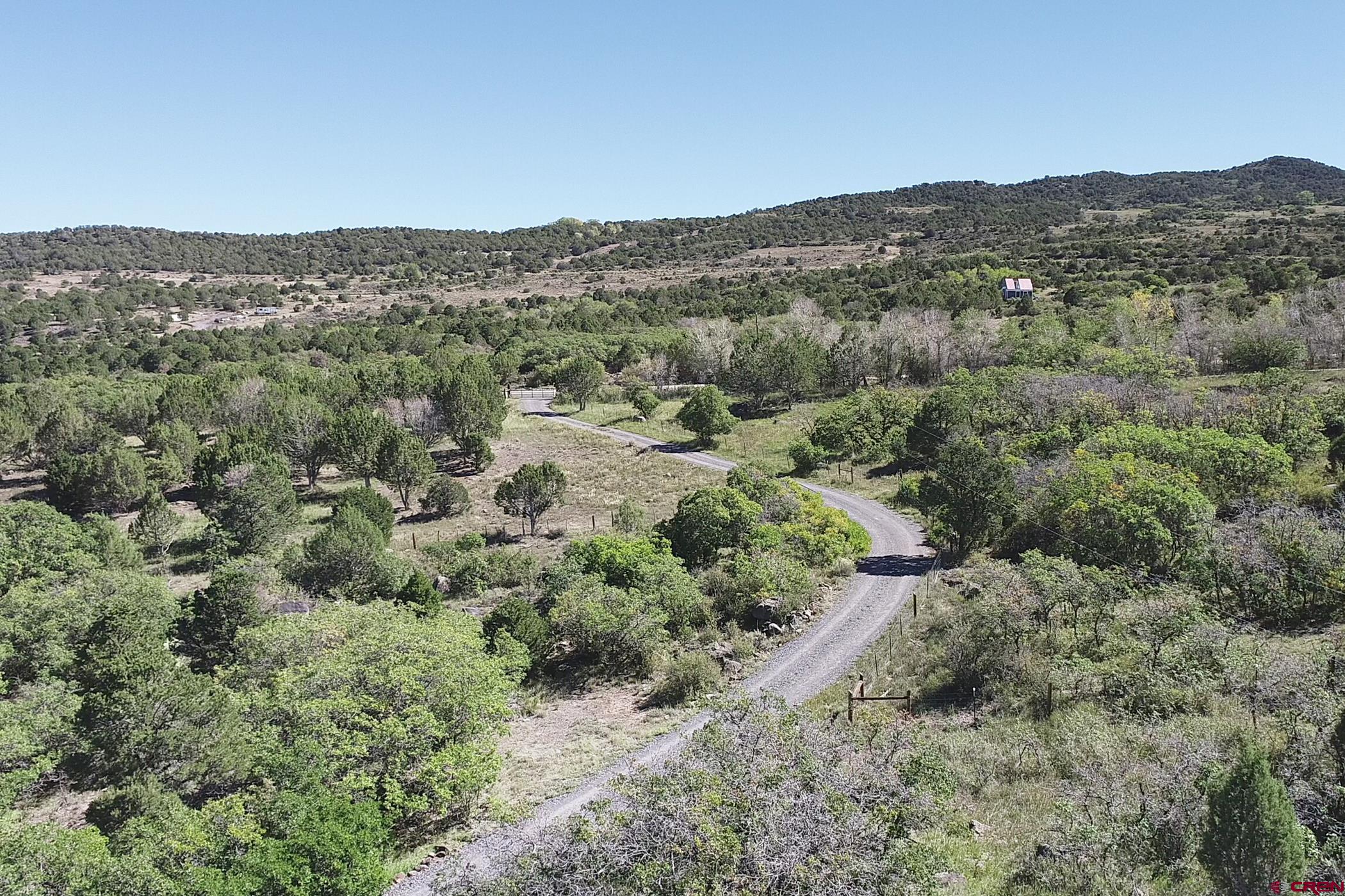 9321 54 Road Molina, CO 81646 - Photo 28 of 32 an aerial view of forest