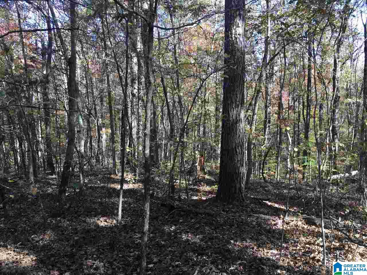 0 Springhollow Drive, Unit 12 Ashville, AL 35953 - Photo 13 of 17