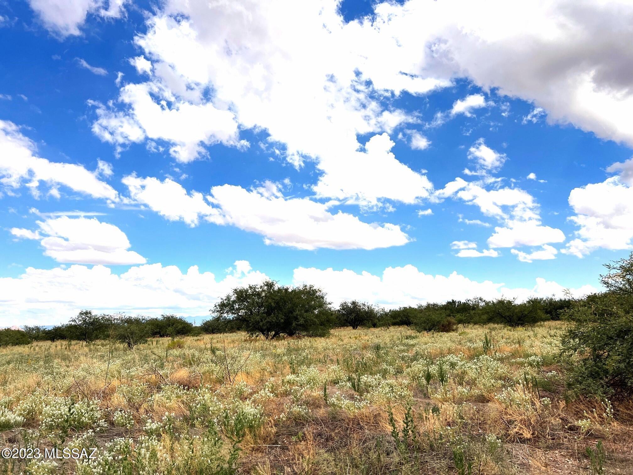 6.32-ac North Skyline Road, Unit 268 Pearce, AZ 85625 - Photo 10 of 17