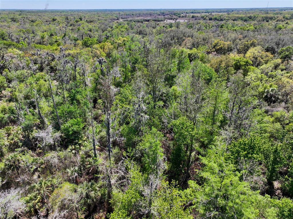 3832 Wildcat Run Road Arcadia, FL 34266 - Photo 15 of 34 an aerial view of a forest with houses