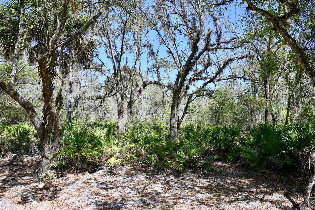 3832 Wildcat Run Road Arcadia, FL 34266 - Photo 22 of 34