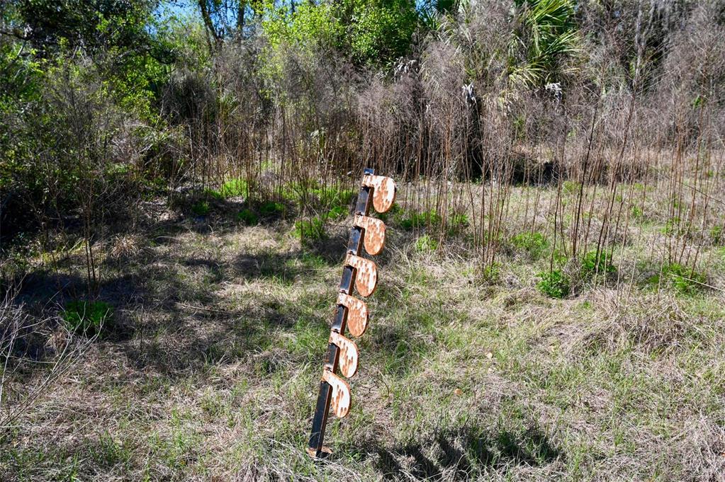 3832 Wildcat Run Road Arcadia, FL 34266 - Photo 26 of 34 a backyard of a house with lots of green space