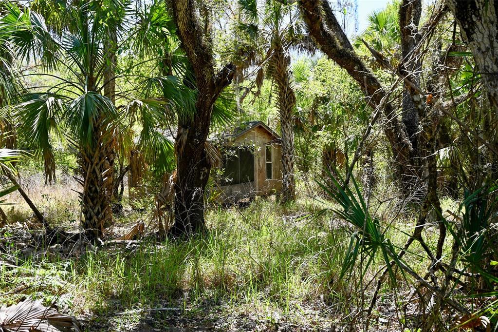 3832 Wildcat Run Road Arcadia, FL 34266 - Photo 28 of 34 a backyard of a house with lots of green space