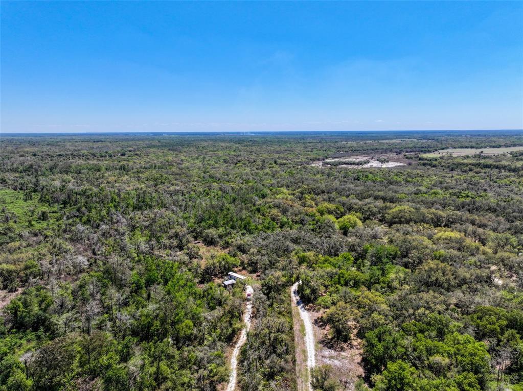 3832 Wildcat Run Road Arcadia, FL 34266 - Photo 30 of 34 a view of a city with lush green forest