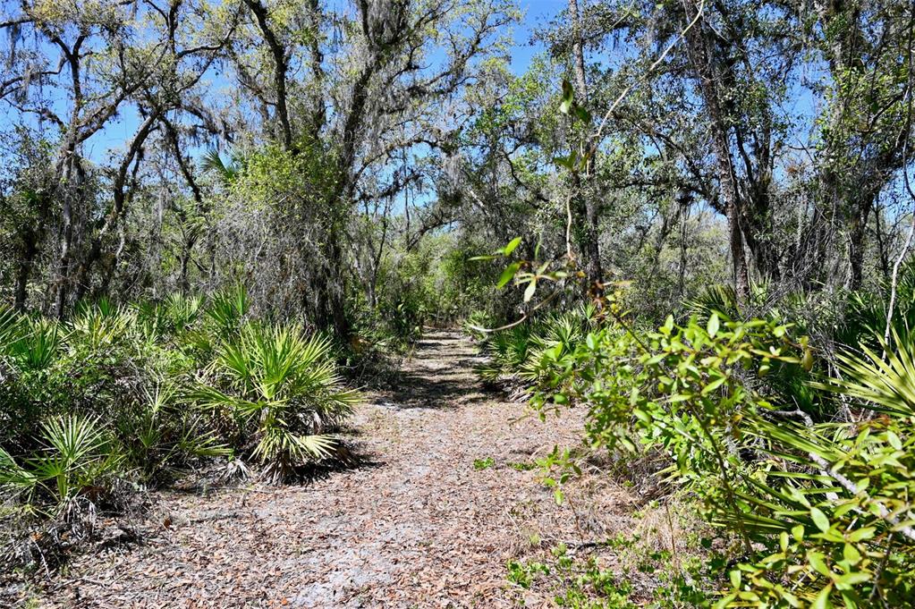 3832 Wildcat Run Road Arcadia, FL 34266 - Photo 31 of 34 a pathway of a yard