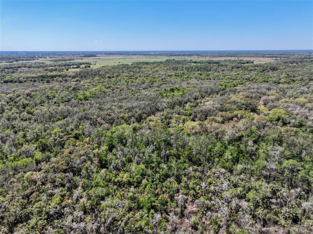 3832 Wildcat Run Road Arcadia, FL 34266 - Photo 32 of 34 a view of a large green field with an ocean view