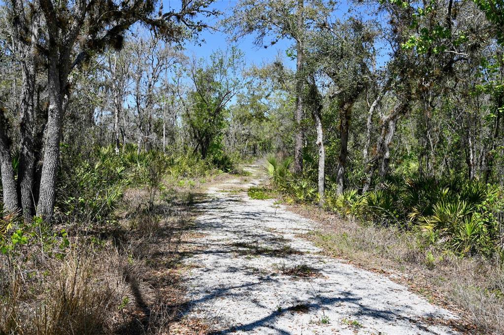 3832 Wildcat Run Road Arcadia, FL 34266 - Photo 33 of 34 a view of yard with green space