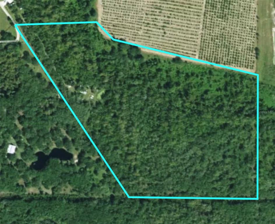 3832 Wildcat Run Road Arcadia, FL 34266 - Photo 34 of 34 a view of a backyard