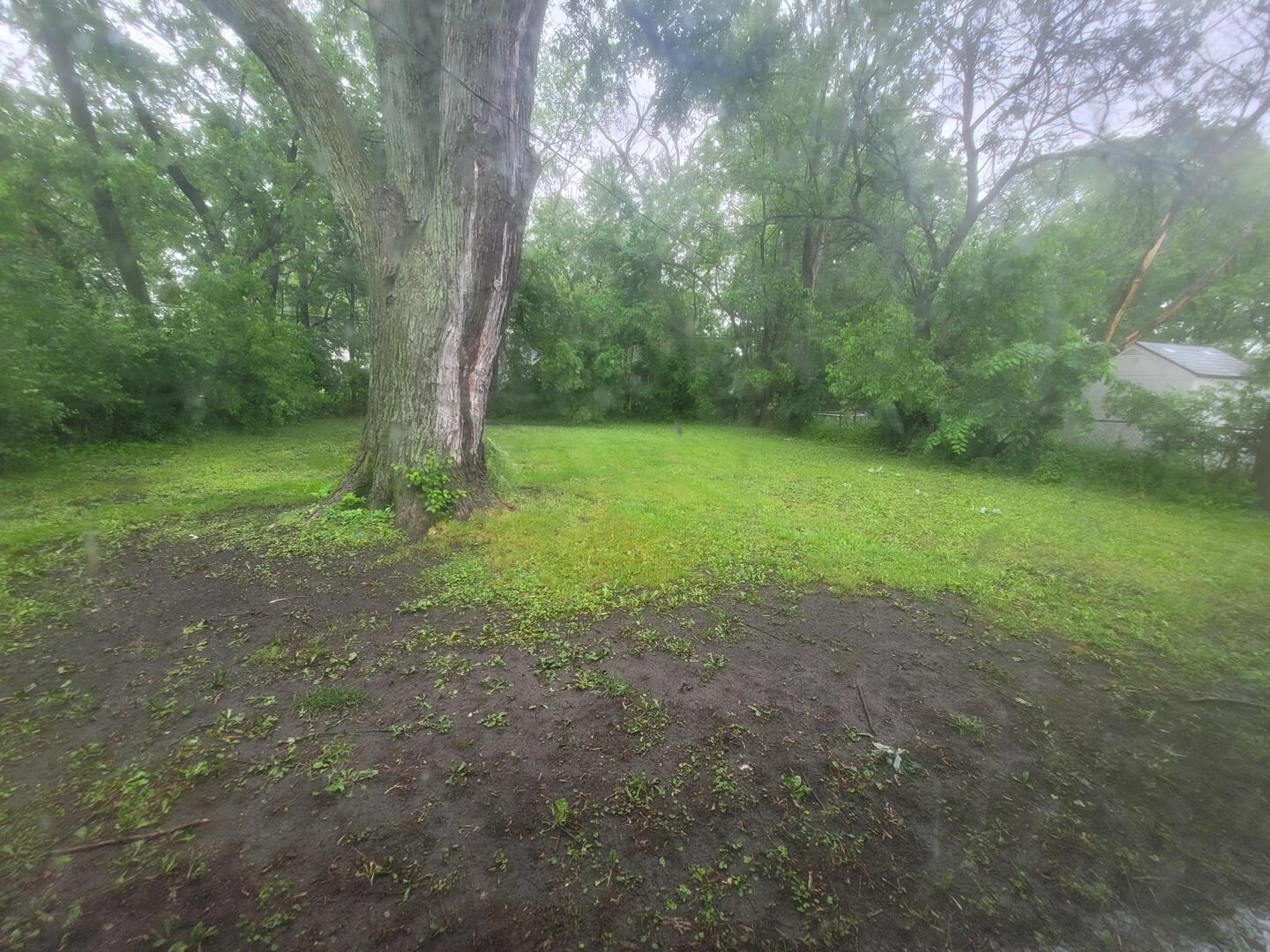 16523 Spaulding Avenue Markham, IL 60428 - Photo 14 of 15 a view of a yard with a tree