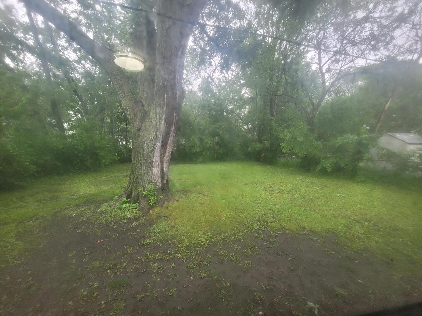 16523 Spaulding Avenue Markham, IL 60428 - Photo 15 of 15 a view of outdoor space and tree