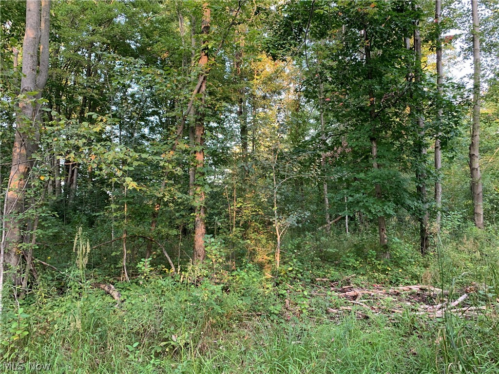 Arthur Road Jefferson, OH 44047 - Photo 10 of 26