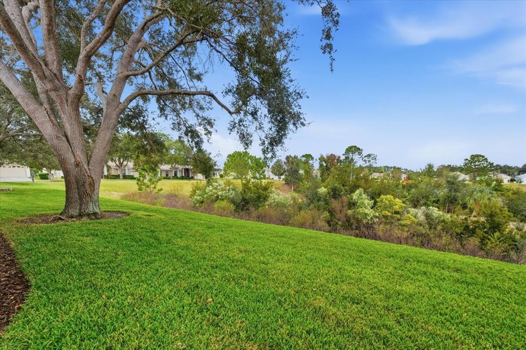 18641 Rolling Hills Loop Hudson, FL 34667 - Photo 36 of 44 a view of a garden with trees