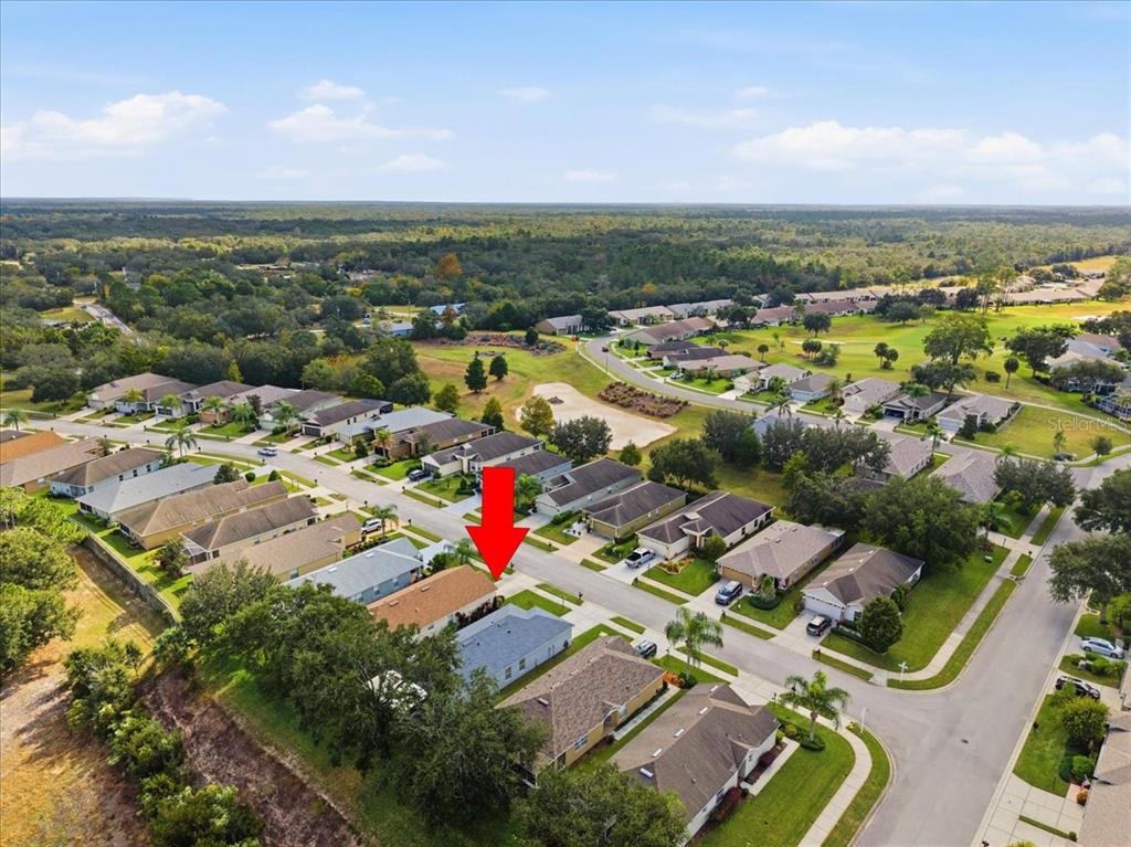 18641 Rolling Hills Loop Hudson, FL 34667 - Photo 42 of 44 an aerial view of residential houses with outdoor space