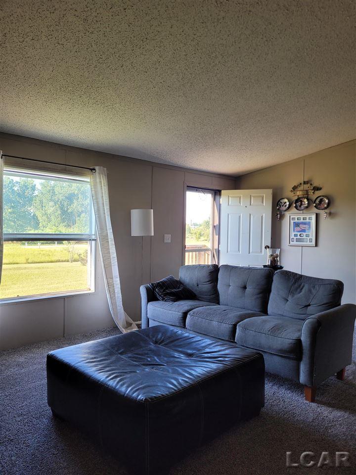 12777 Plank Road Clayton, MI 49235 - Photo 19 of 24 50047135-18.JPG