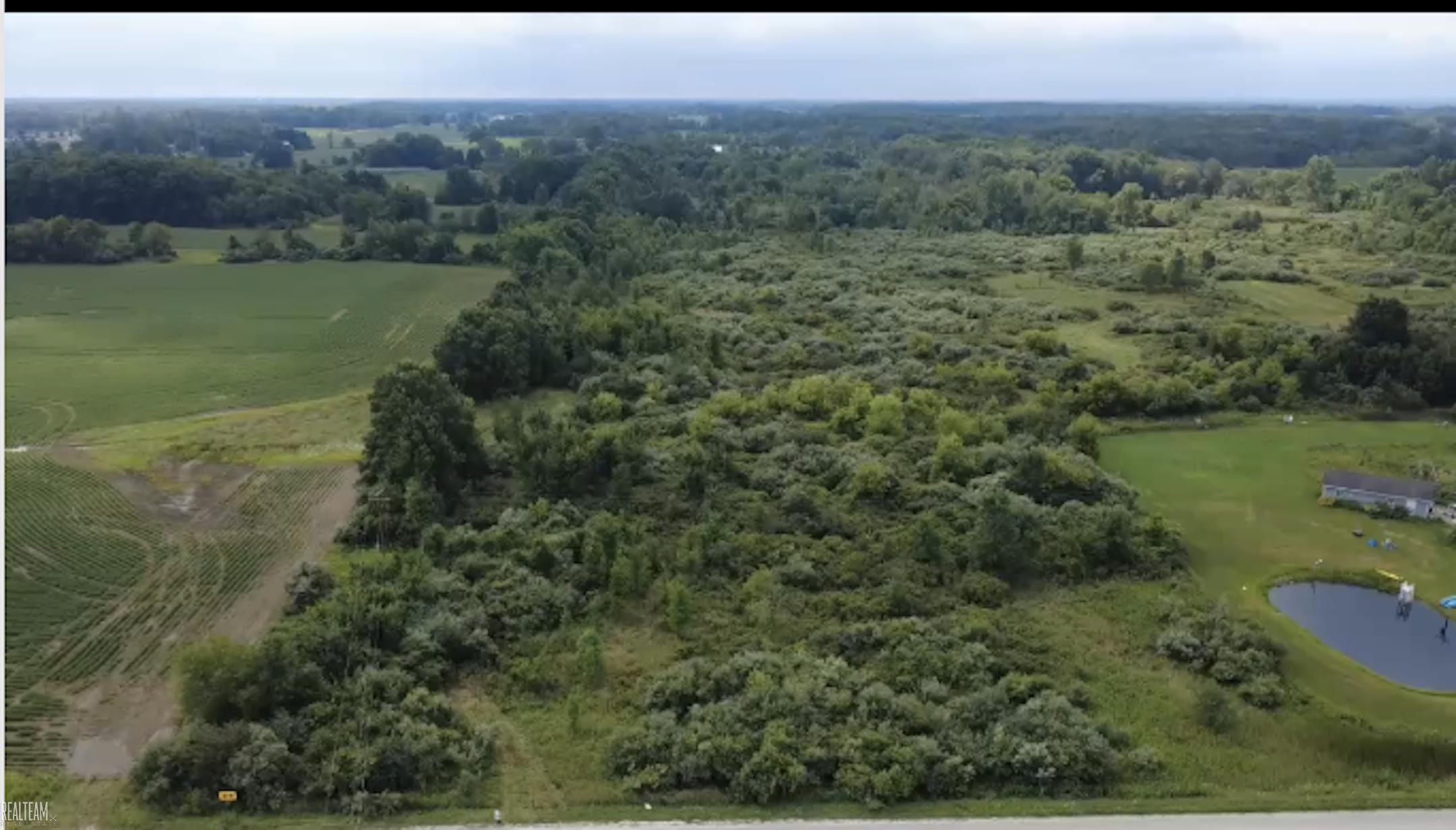 0 Petz Road Capac, MI 48014 - Photo 2 of 5