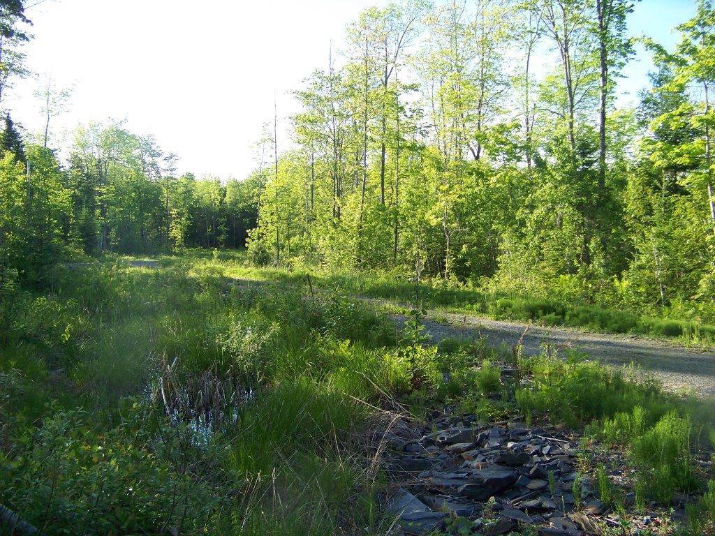 0 Tenny Hill Road Monson, ME 04464 - Photo 9 of 11 Photo