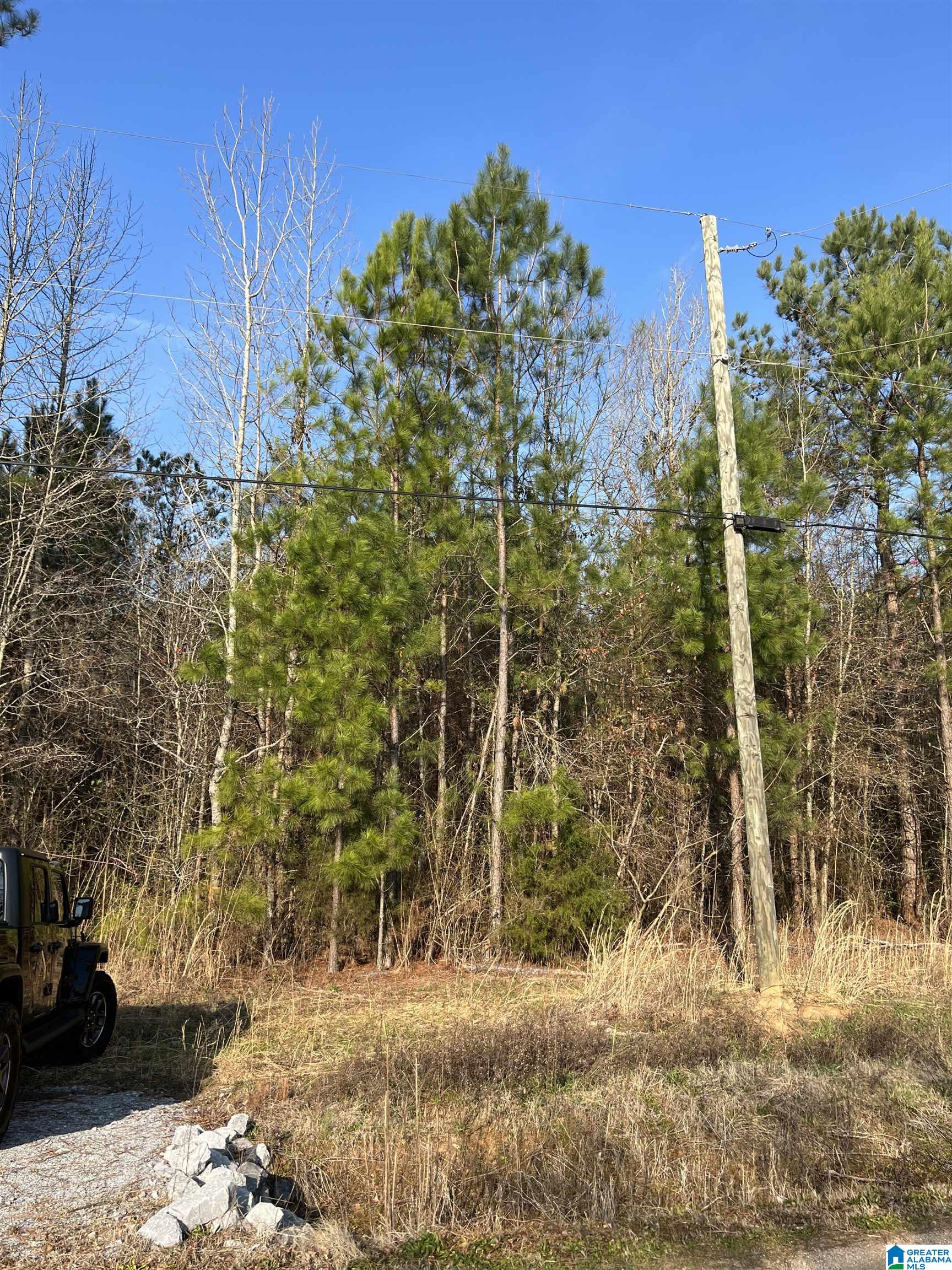 1075 Earl Roberts Road, Unit 1075 Anniston, AL 36207 - Photo 2 of 4