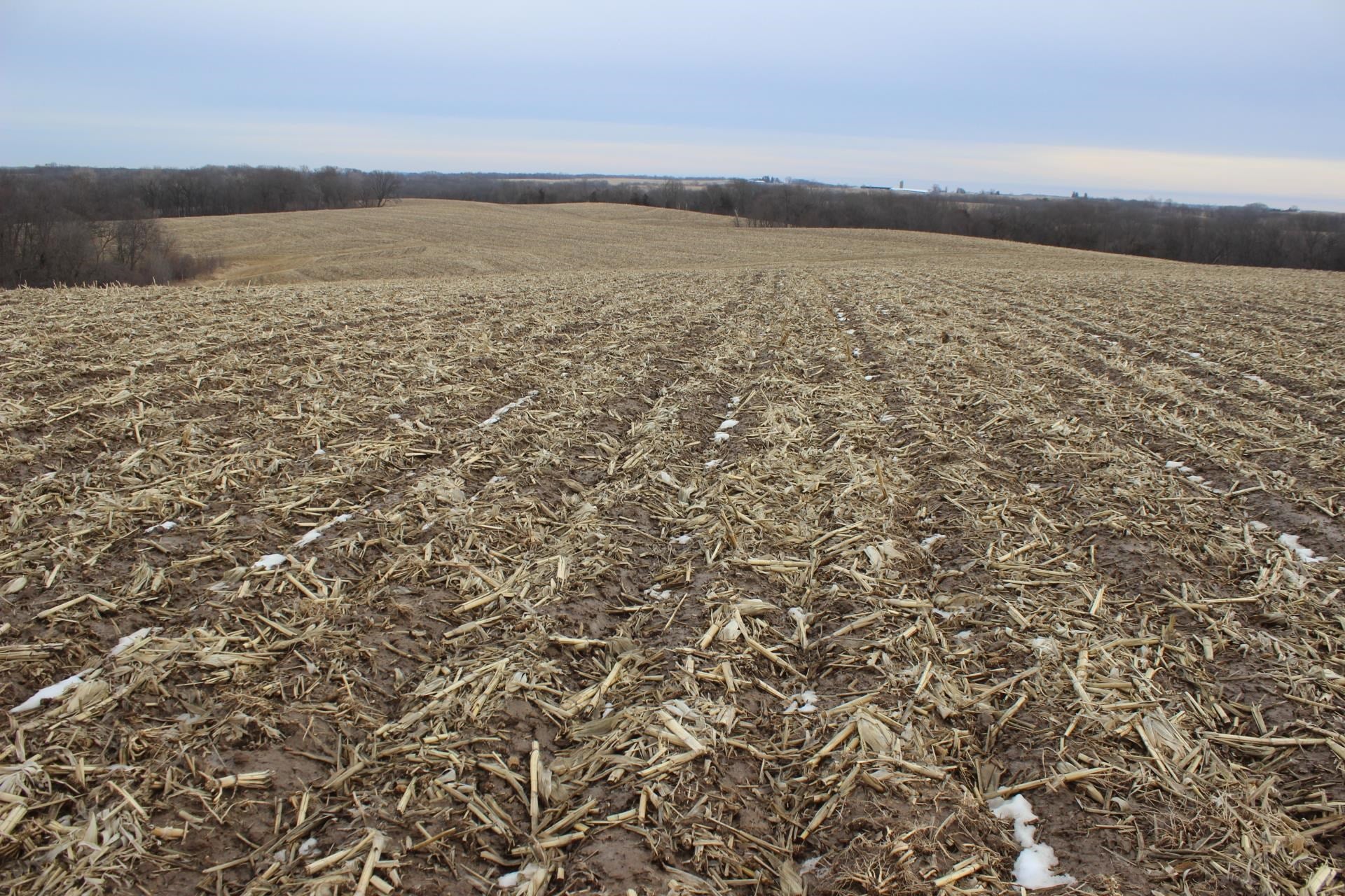 0 484th Avenue Baldwin, IA 52207 - Photo 1 of 15 Gallery Image 1