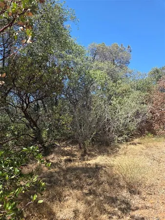 $50,000 | 0 Roemelt Lane, Oroville, CA 95966