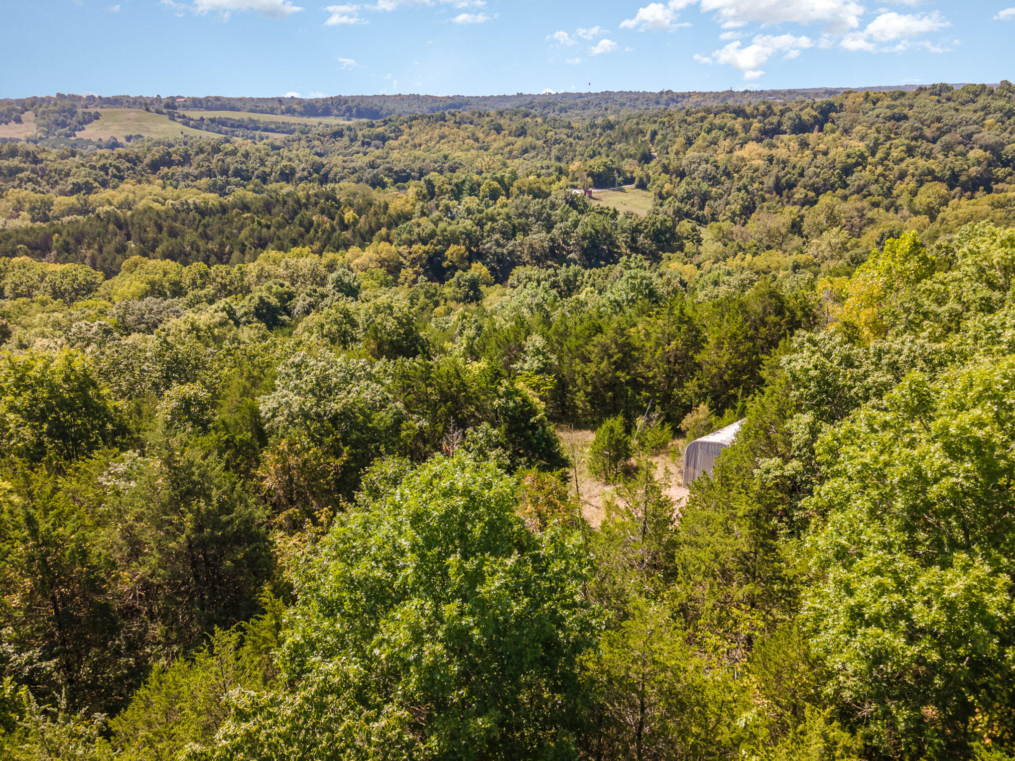 300 Stevens Creek Road Dry Ridge, KY 41035 - Photo 10 of 21