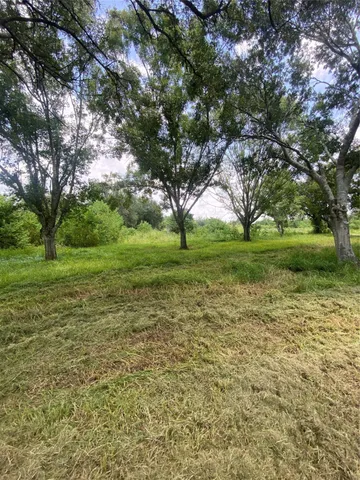 a view of a field with a tree