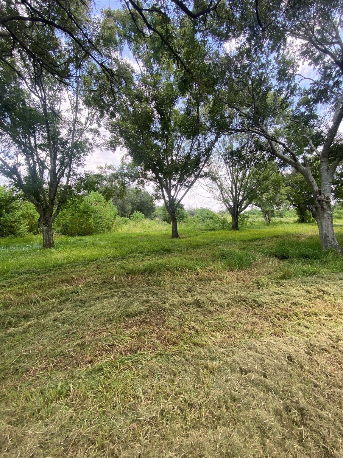 8720 Janda Road Fairchilds, TX 77469 - Photo 11 of 13 a view of a field with a tree