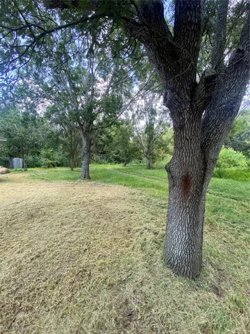 a view of a garden with a tree
