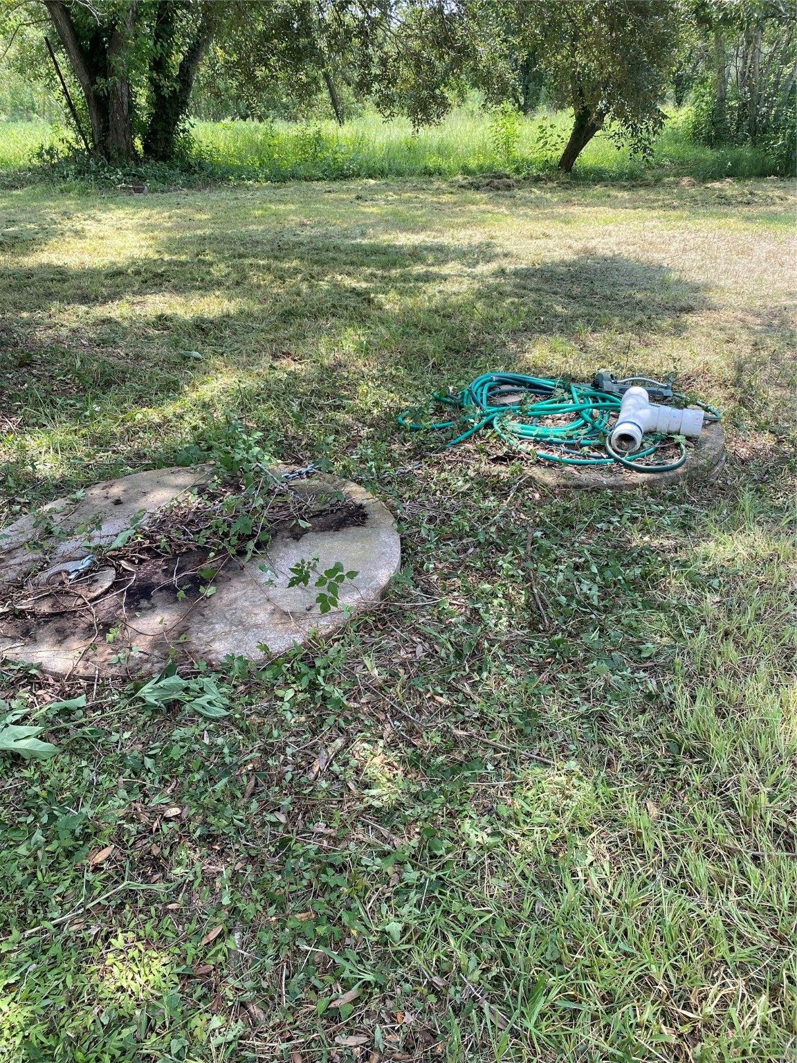 8720 Janda Road Fairchilds, TX 77469 - Photo 8 of 13 a view of a garden with an outdoor space