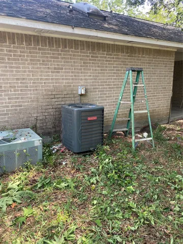 a view of a backyard with plants