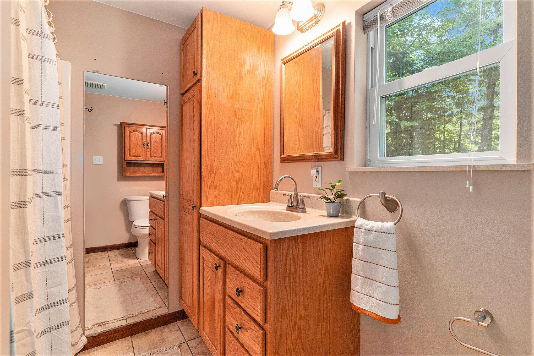 4431 West Stanton Road Stanton, MI 48888 - Photo 14 of 58 018_file_539