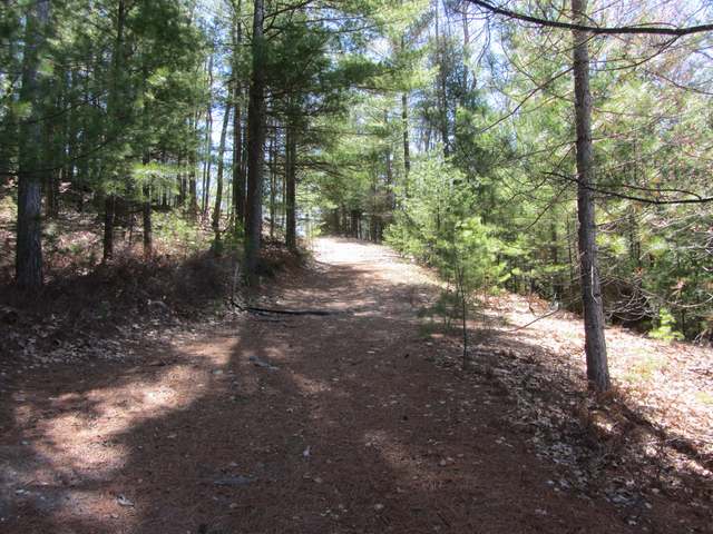 Lot 8 Branches Road Rhinelander, WI 54501 - Photo 9 of 11 Gallery Image 9