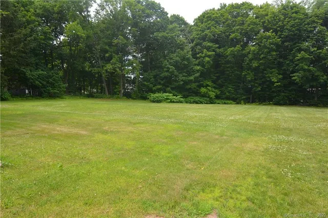 a view of a field with a tree