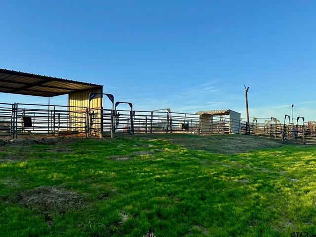 a view of a backyard with a garden