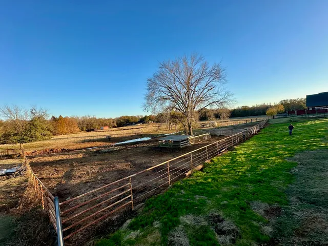 a view of a yard with an outdoor space