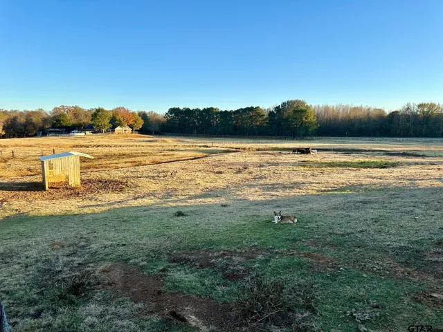 a view of an ocean from a yard