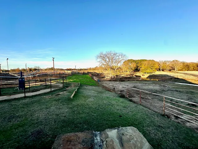 a view of a pathway with a yard