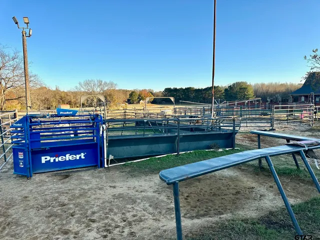 a view of a backyard with plants and outdoor seating