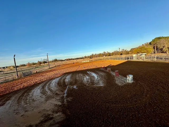 a view of a park with lounge chairs