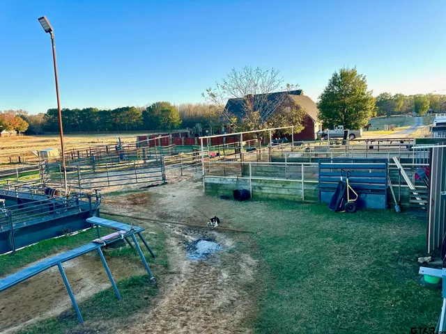 a large body of water with a tree in the background