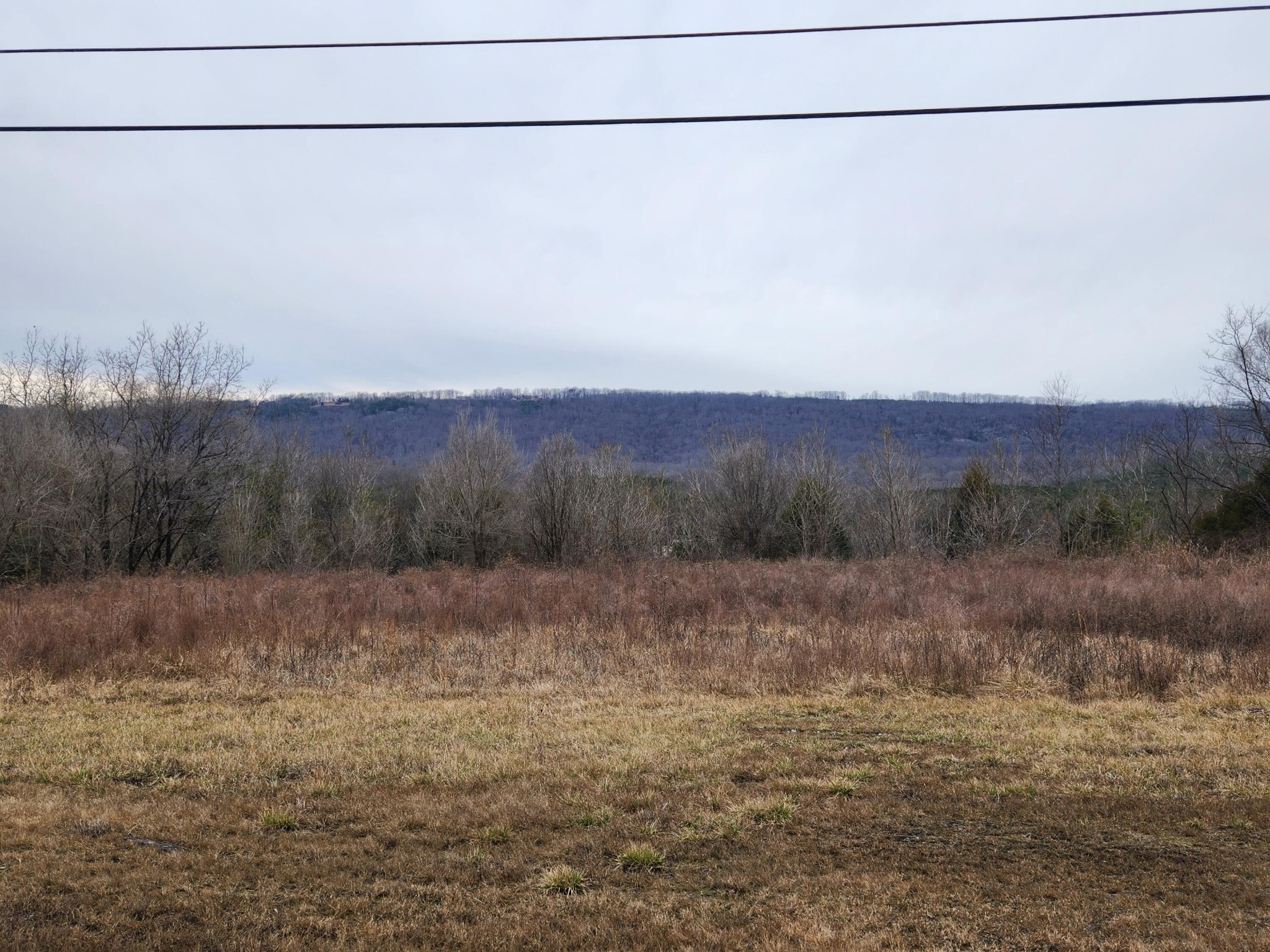 1 Rhea County Highway Spring City, TN 37381 - Photo 1 of 10