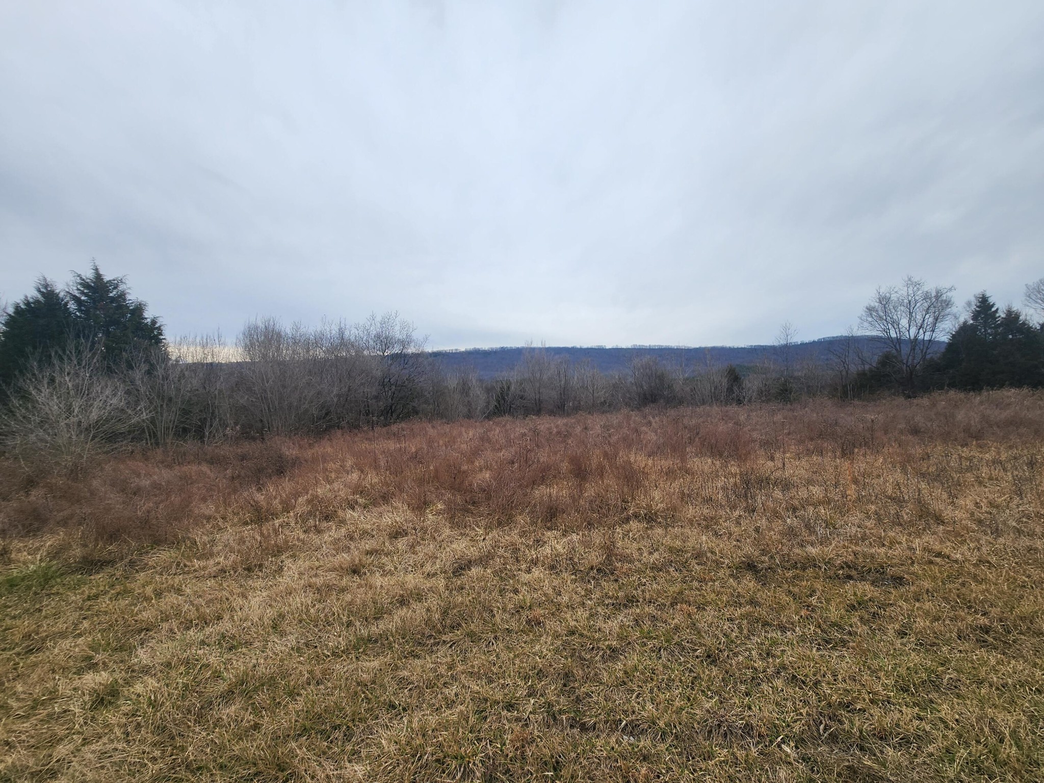 1 Rhea County Highway Spring City, TN 37381 - Photo 4 of 10