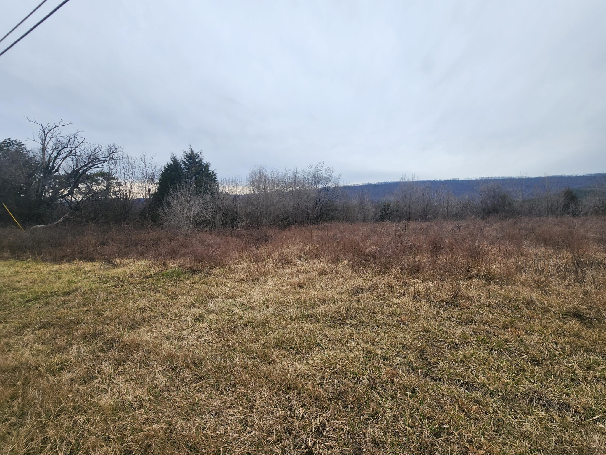 1 Rhea County Highway Spring City, TN 37381 - Photo 5 of 10