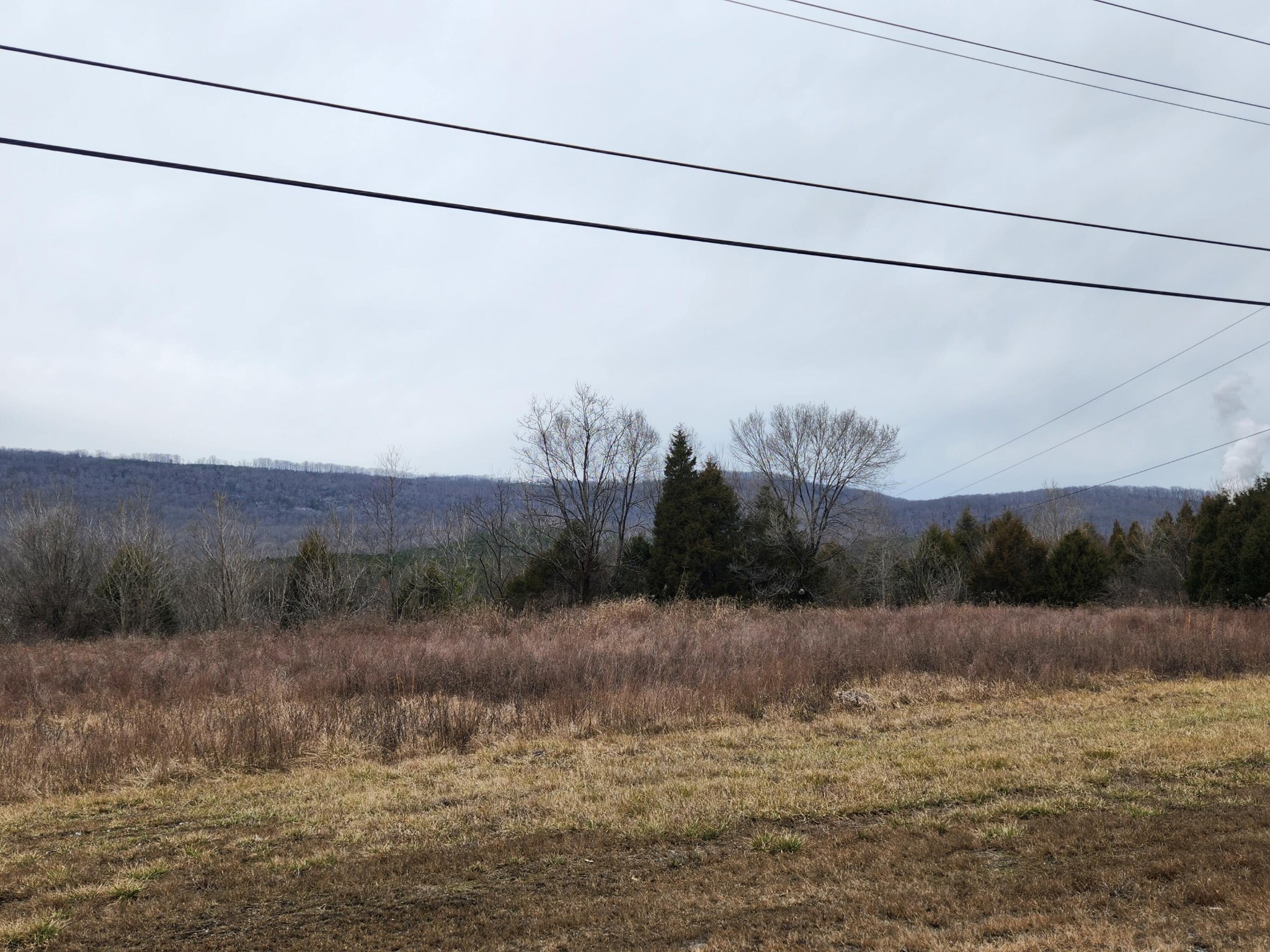 1 Rhea County Highway Spring City, TN 37381 - Photo 7 of 10