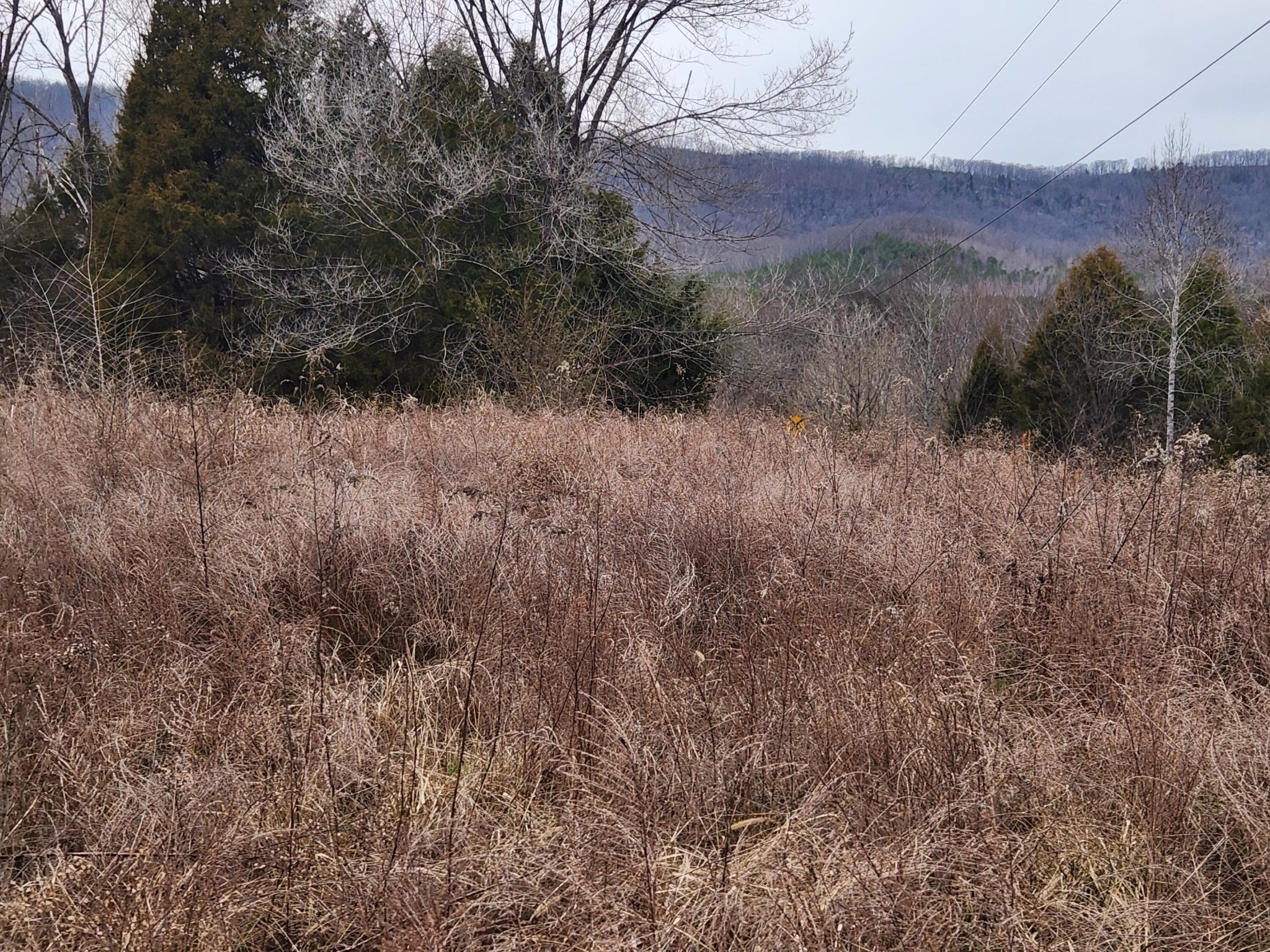 1 Rhea County Highway Spring City, TN 37381 - Photo 10 of 10