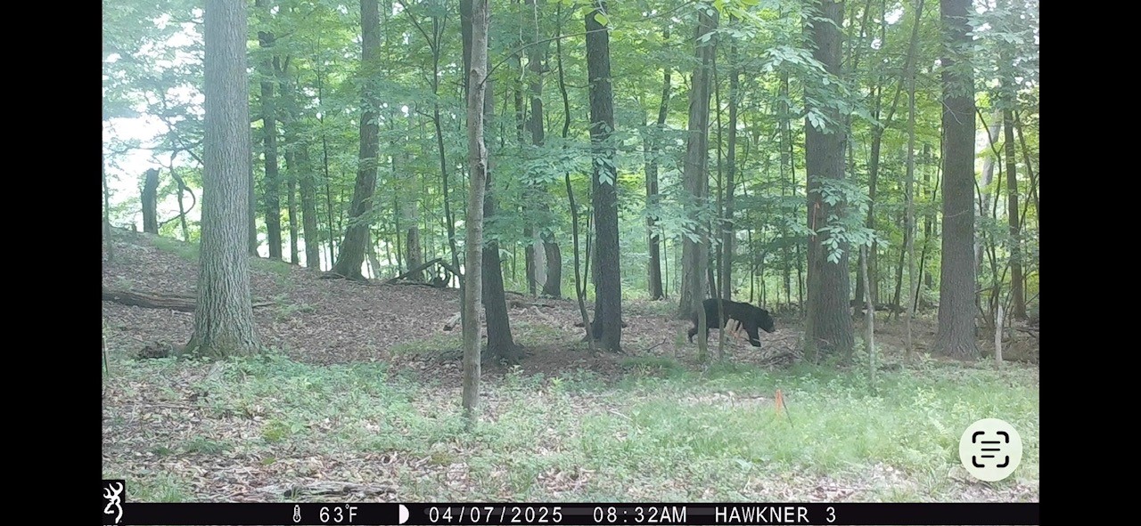 4731 Christian Road Ossian, NY 14437 - Photo 49 of 50