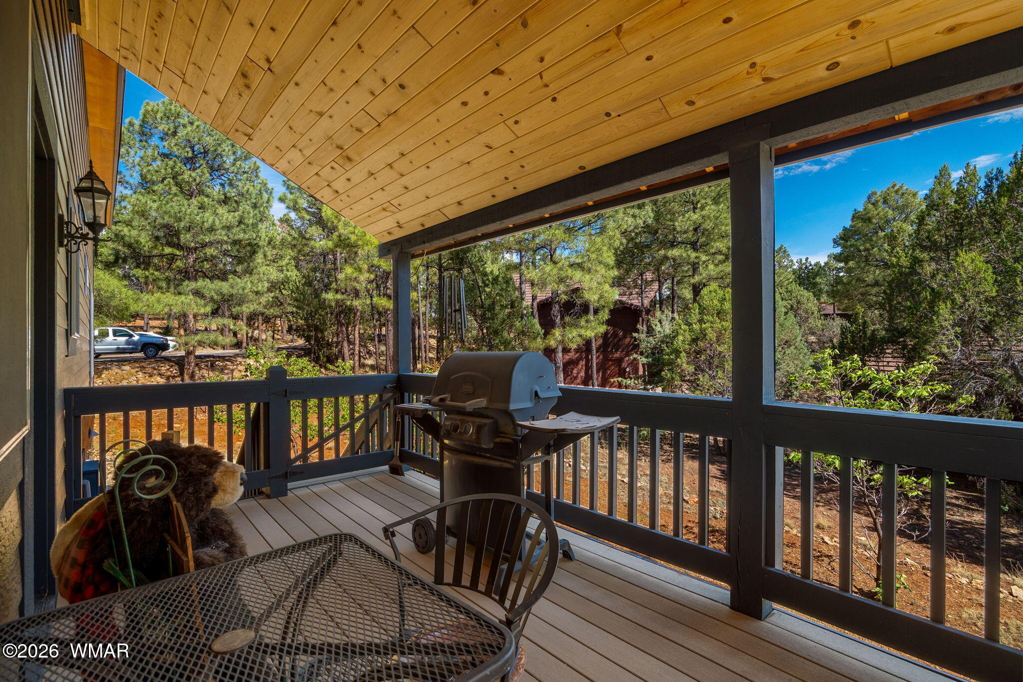 2789 Doolittle Circle Overgaard, AZ 85933 - Photo 36 of 47