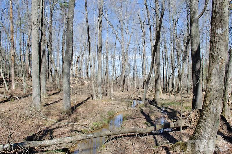 1 Hurdle Mills Road Cedar Grove, NC 27231 - Photo 11 of 12 Gallery Image 11