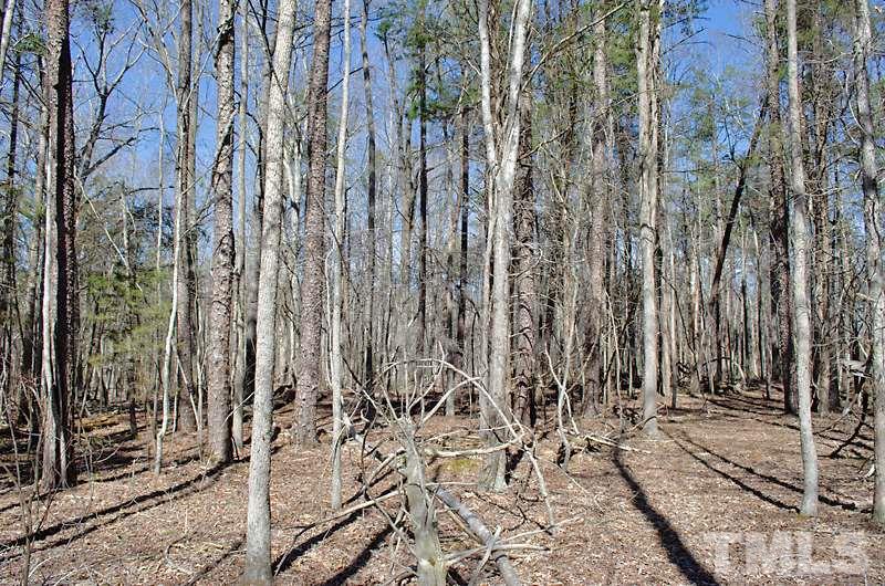 1 Hurdle Mills Road Cedar Grove, NC 27231 - Photo 8 of 12 Gallery Image 8