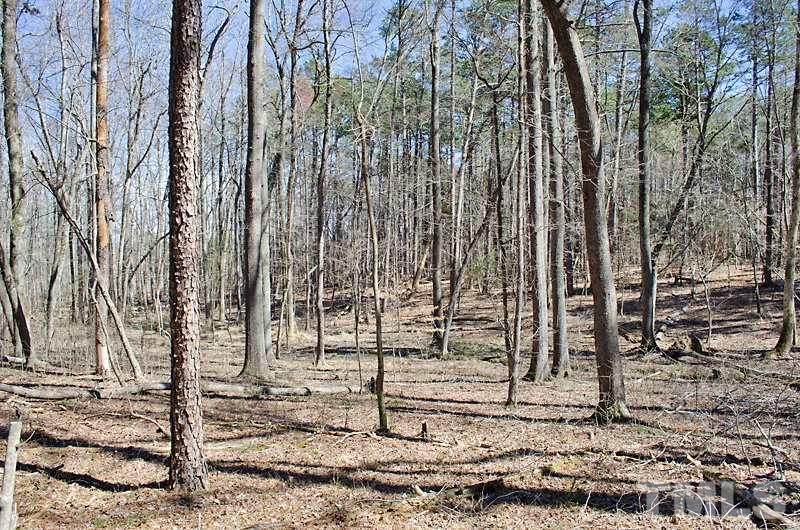 1 Hurdle Mills Road Cedar Grove, NC 27231 - Photo 10 of 12 Gallery Image 10